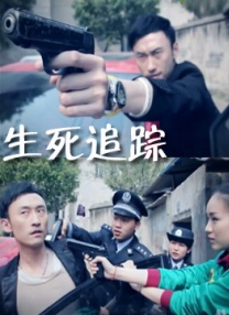 1080P高清完整版播放