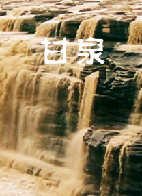 手机在线观看